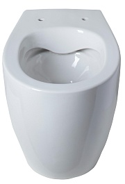 Allen Brau Унитаз приставной Fantasy 4.11007.20 белый глянец – фотография-3